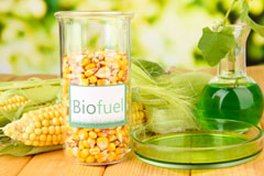 Skeggie biofuel availability