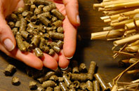free Skeggie biomass boiler quotes