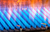 Skeggie gas fired boilers